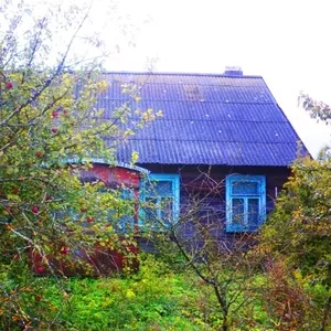 Дом,  25 км от Бреста,  6 км от Жабинки,  1975 года постройки