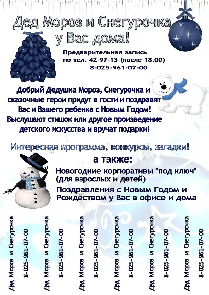 Дед Мороз и Снегурочка у Вас дома! 2