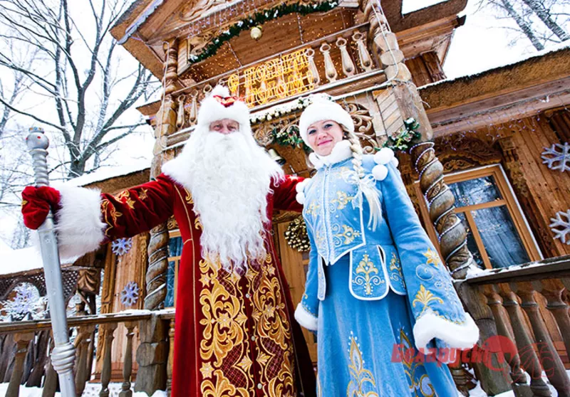 Новогодние поездки в Беловежскую пущу и поместье Деда Мороза! 3