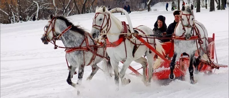 Новогодние поездки в Беловежскую пущу и поместье Деда Мороза! 4