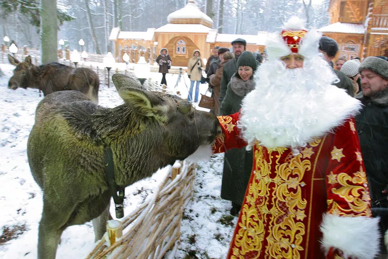 Новогодние поездки в Беловежскую пущу и поместье Деда Мороза! 5