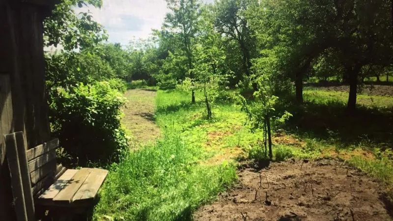 Продается жилой дом с садовым участком в агрогородке Матеевичи 3