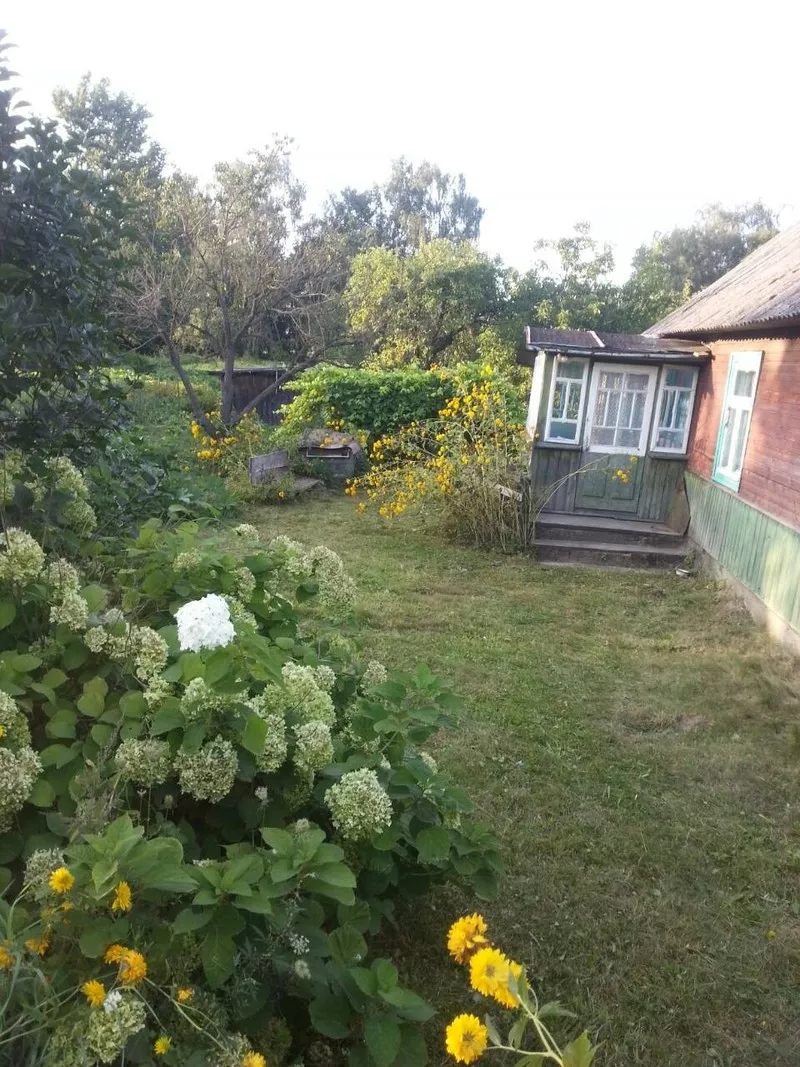 Продается жилой деревенский дом в агрогородке Матеевичи, 23км. от Брест 2