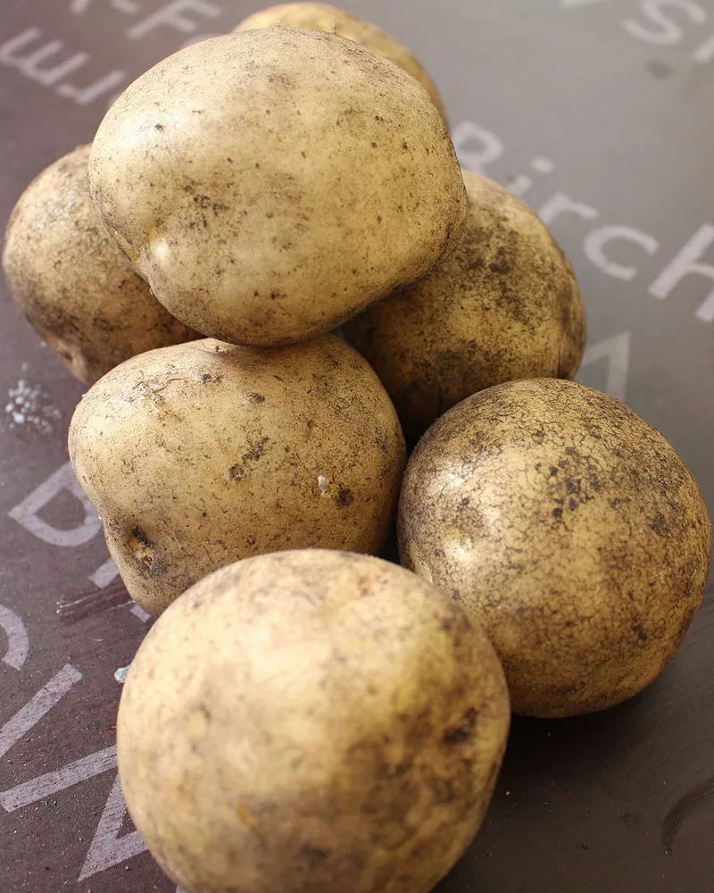 Продается картофель ранний,  урожай 2020